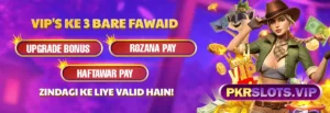 Pkr Slots Game APK 1